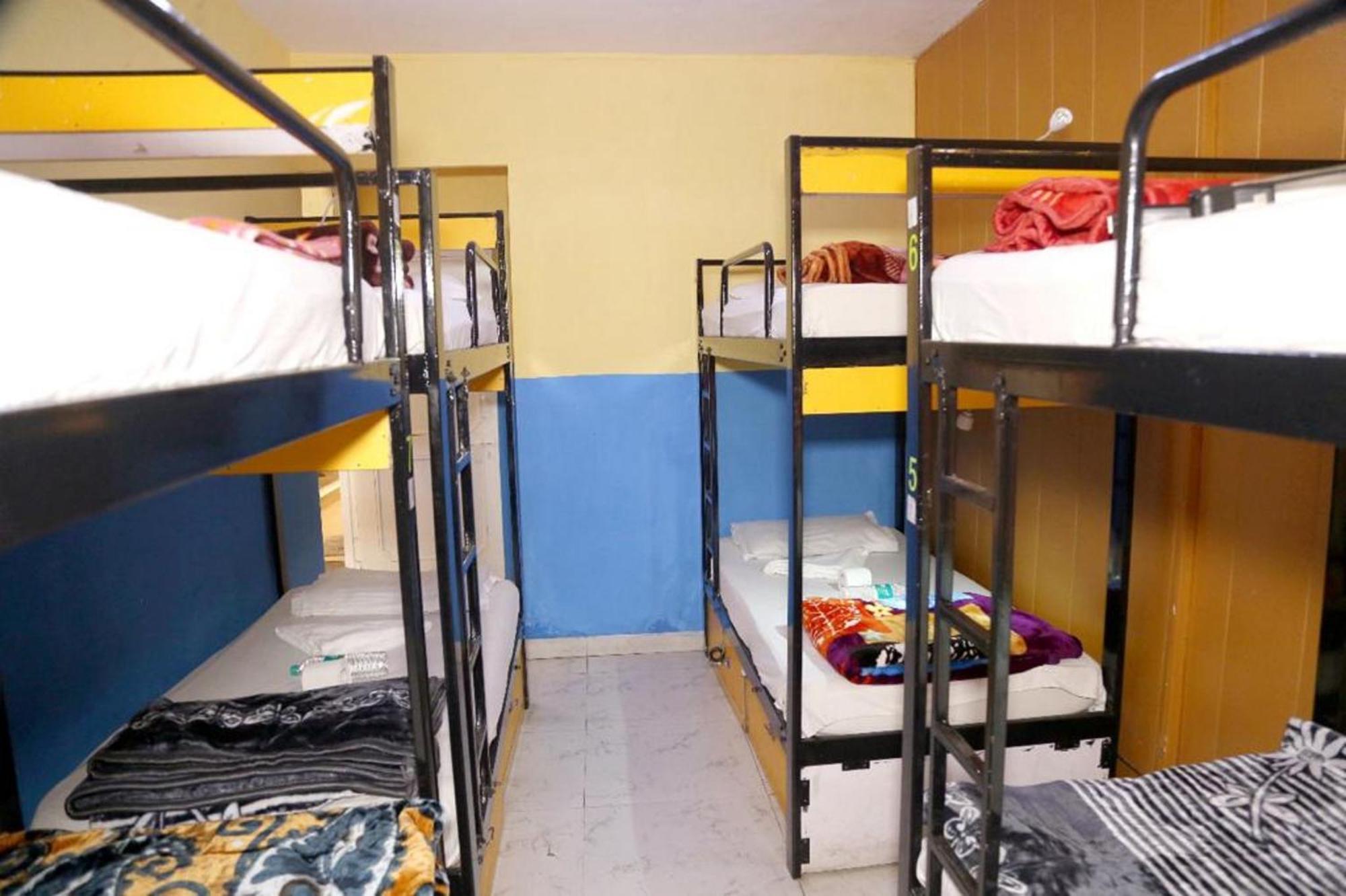 Bunk Hostel Delhi Best Backpacking Accommodation Nowe Delhi Zewnętrze zdjęcie